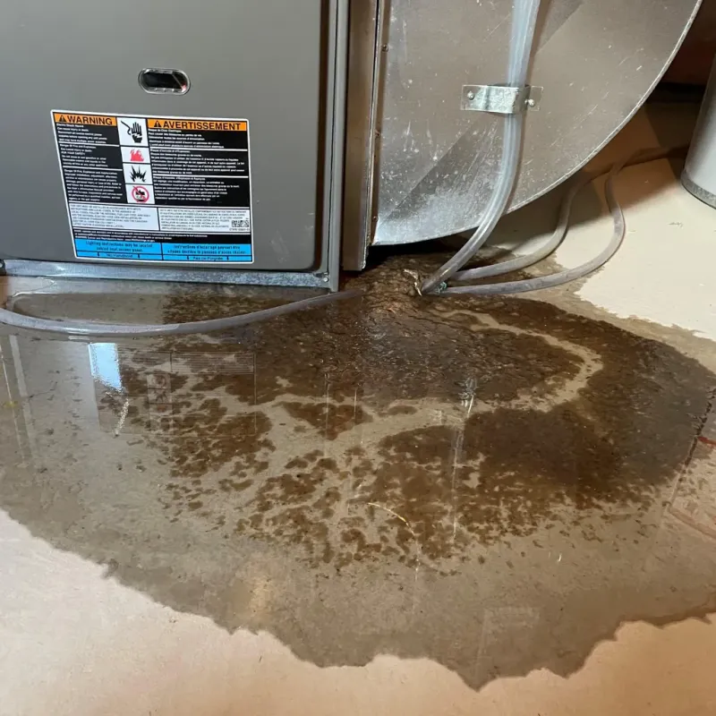 Appliance Leak Cleanup in Westover, WV
