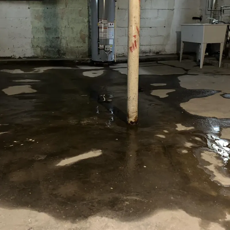 Emergency Water Extraction And Removal in Westover, WV